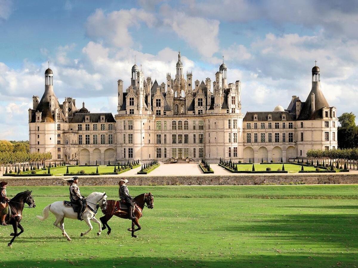 Au Paradis De Sologne Роморантен Номер фото